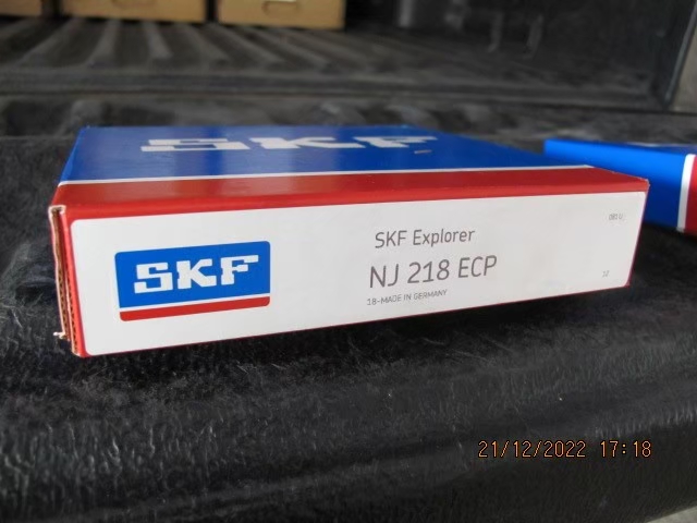 SKF Photo 8
